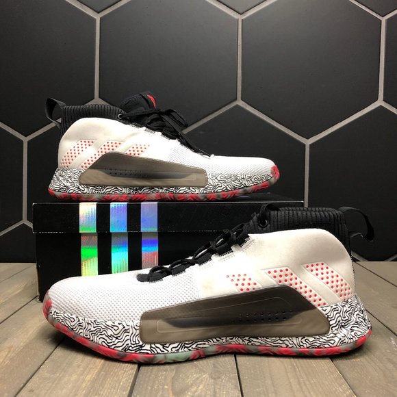 dame 5 sizing